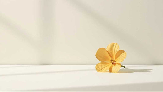 Imagen minimalista de una flor en fondo claro que evoca una rutina sencilla de Urban Natur