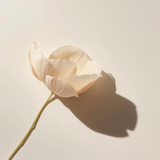 Flor clara iluminada por luz suave que evoca el cuidado delicado del contorno de ojos de Urban Natur