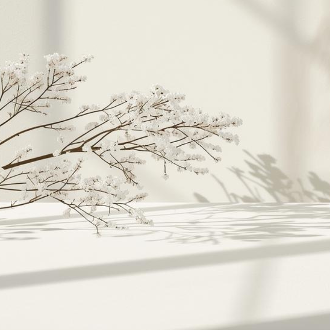 Rama invernal sobre fondo neutro que evoca el cuidado consciente de la piel seca en invierno Urban Natur