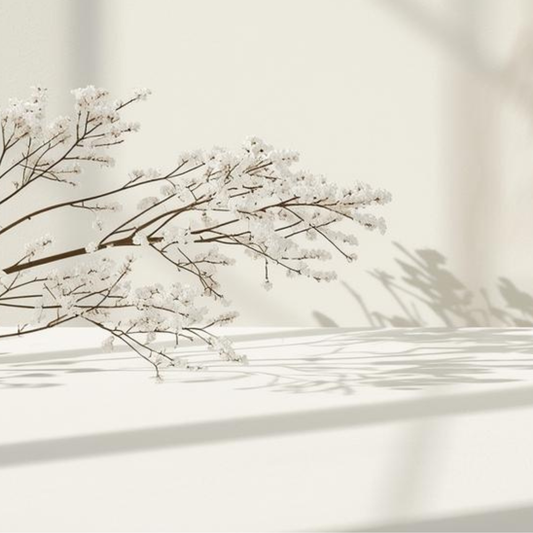 Rama invernal sobre fondo neutro que evoca el cuidado consciente de la piel seca en invierno Urban Natur