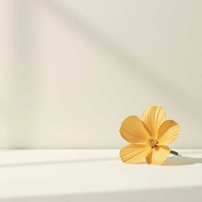 Imagen minimalista de flor delicada en un espacio diáfano evocando la cosmética limpia de Urban Natur