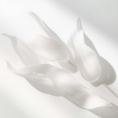 Imagen conceptual de la espuma limpiadora Urban Natur con hojas blancas translúcidas y luz suave, que transmite pureza y delicadeza.