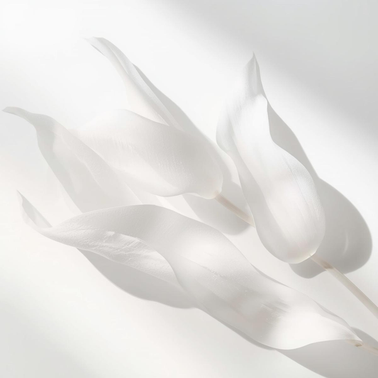 Imagen conceptual de la espuma limpiadora Urban Natur con hojas blancas translúcidas y luz suave, que transmite pureza y delicadeza.