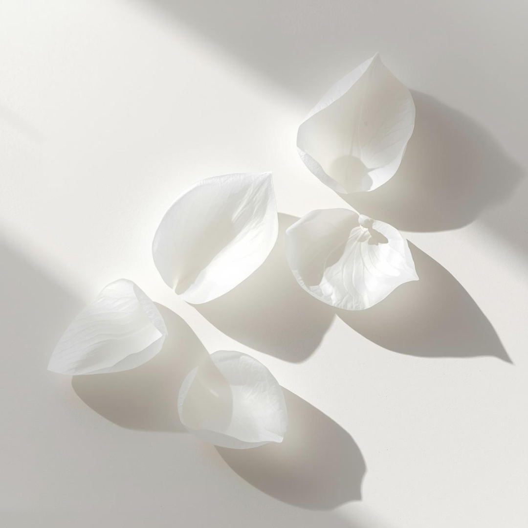 Pétalos blancos translúcidos iluminados por luz suave sobre fondo blanco, evocando la limpieza ligera y delicada del desmaquillador bifásico Urban Natur.