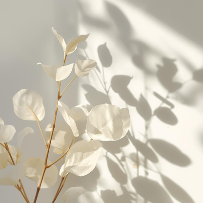 Hojas blancas translúcidas iluminadas por luz natural suave, imagen evocadora que transmite la nutrición y el confort de la Crema Rica Nutritiva de Urban Natur.